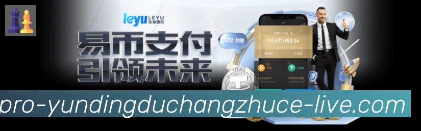 未来规划